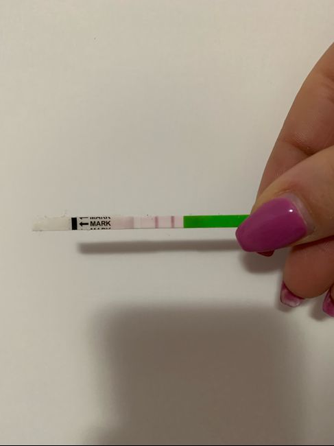 Aiutoooo sono a 5 giorni dopo la data del ciclo ho usato ieri ed oggi per la prima volta i test di ovulazione 2