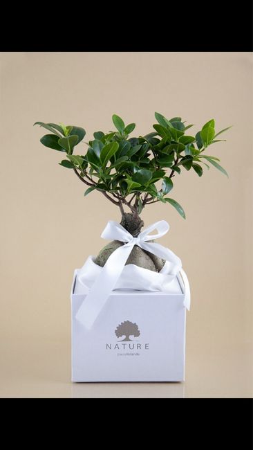 Bomboniere...non ce la posso fare!!? - 1