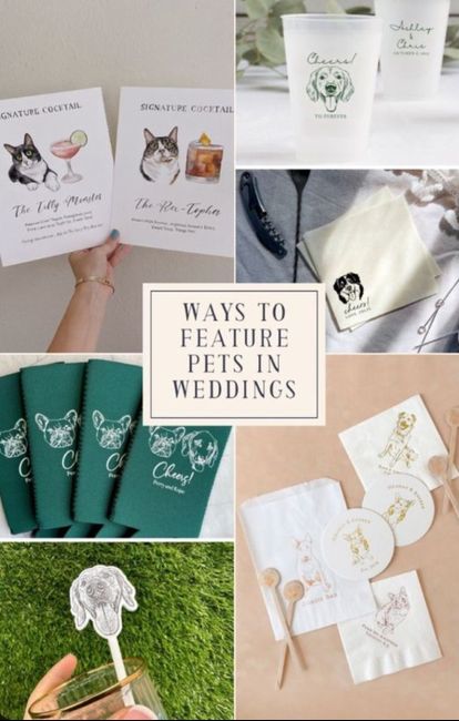 Matrimonio e animali❤️ - 5