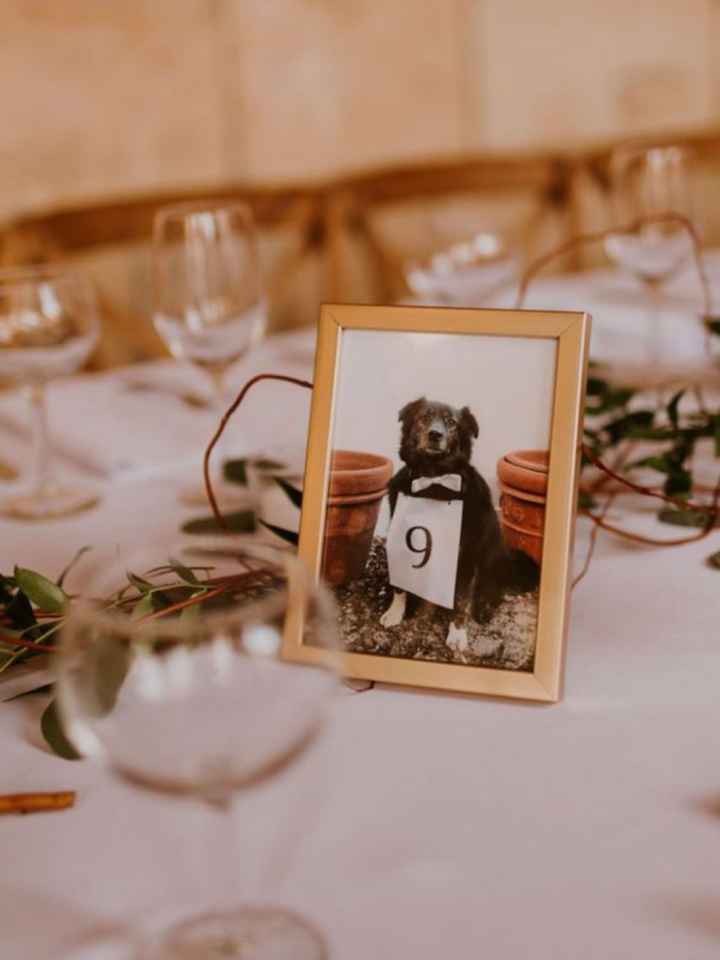 Centrotavola fai da te foto del cane - 1