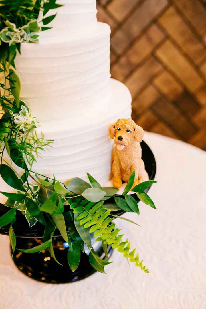 Matrimonio e animali❤️ - 6
