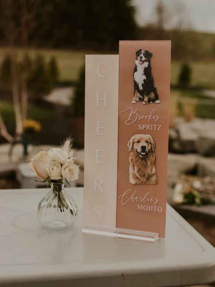 Matrimonio e animali❤️ - 8