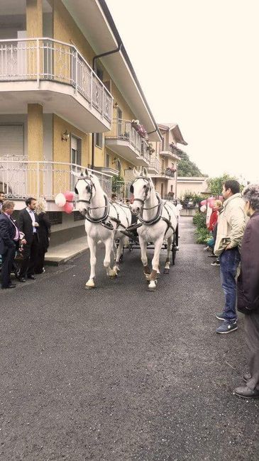 Cavallo e carrozza di cenerentola - 2