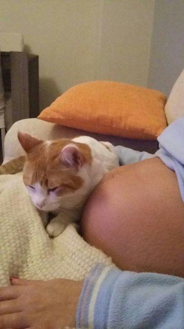 25+5 fuori le pance - 1