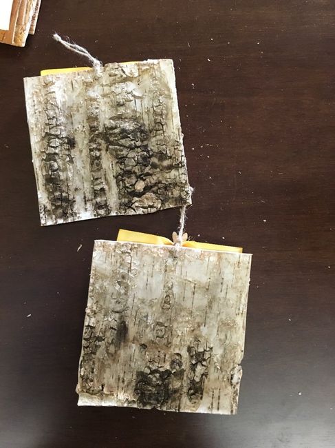 Partecipazioni economiche - 1