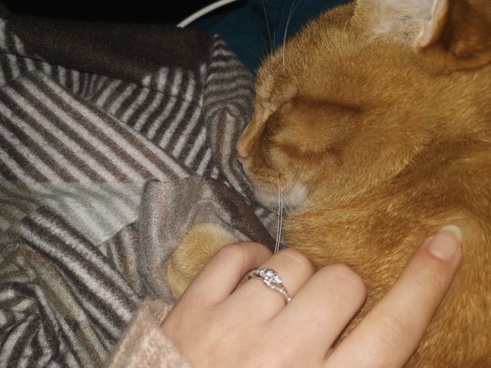 Avete ricevuto l'anello per la proposta di matrimonio?io sì più di uno😅 è per me sono stupendi. Ovviamente i più belli sono stati i miei bimbi e a seg 6