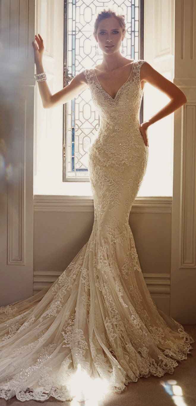 1 Sophia Tolli