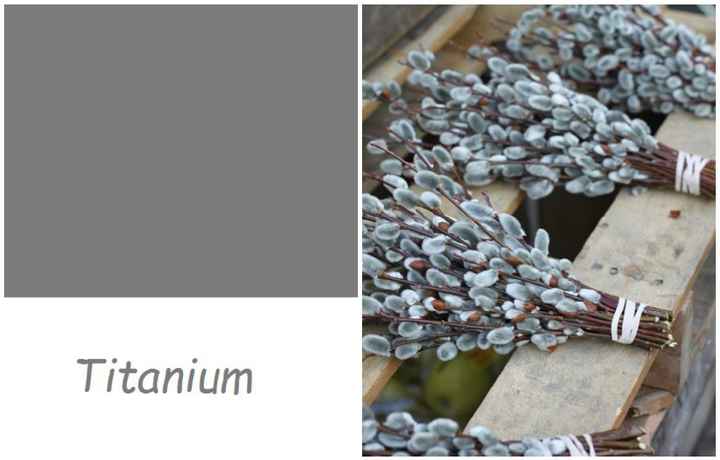Bouquet Titanium