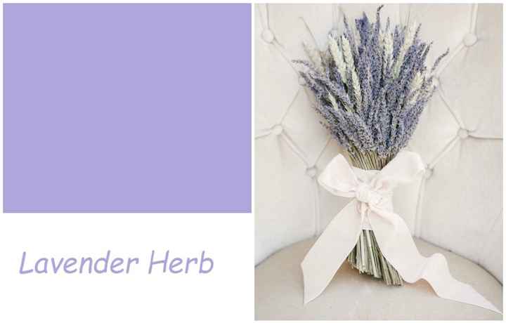 Bouquet Lavender Herb