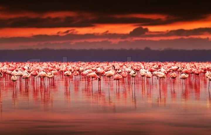 Kenya
