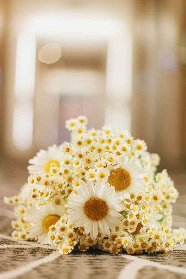 2. bouquet di margherite