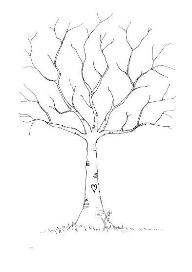2 albero delle impronte