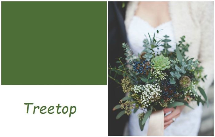 Bouquet Treetop