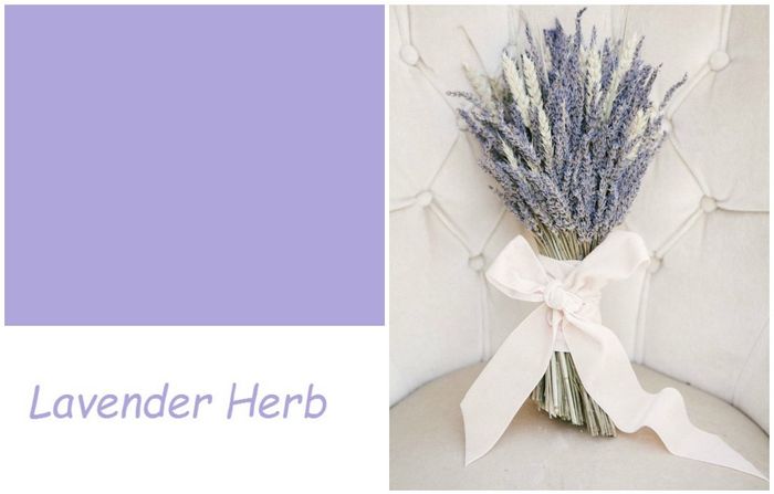 Bouquet Lavender Herb