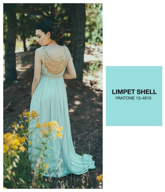 Vestito sposa pantone 2016