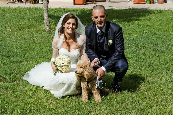 matrimonio a 4 zampe 4