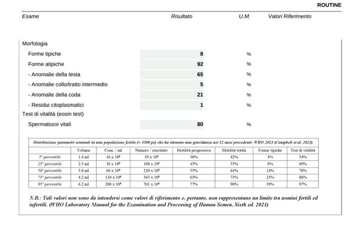 PMA 2024/2025 - 2
