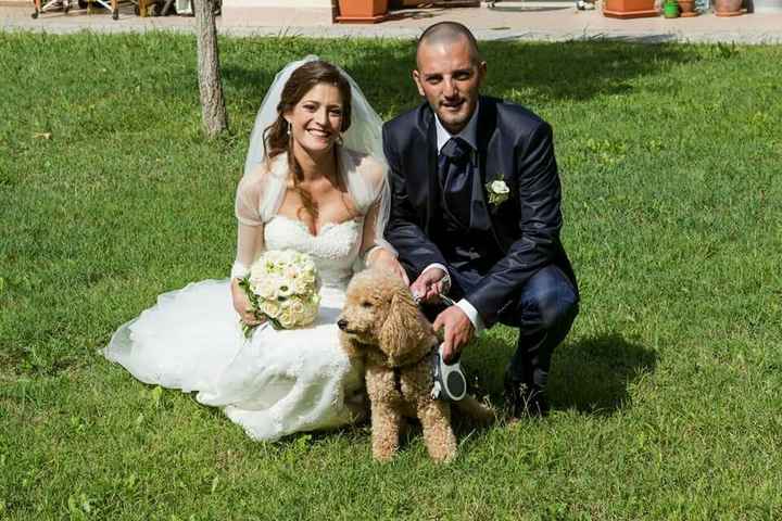 matrimonio a 4 zampe - 1