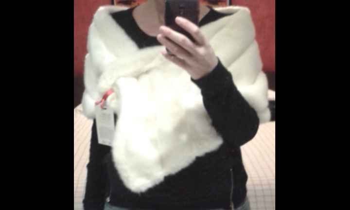 Pelliccia, stola o mantellina?  - 2