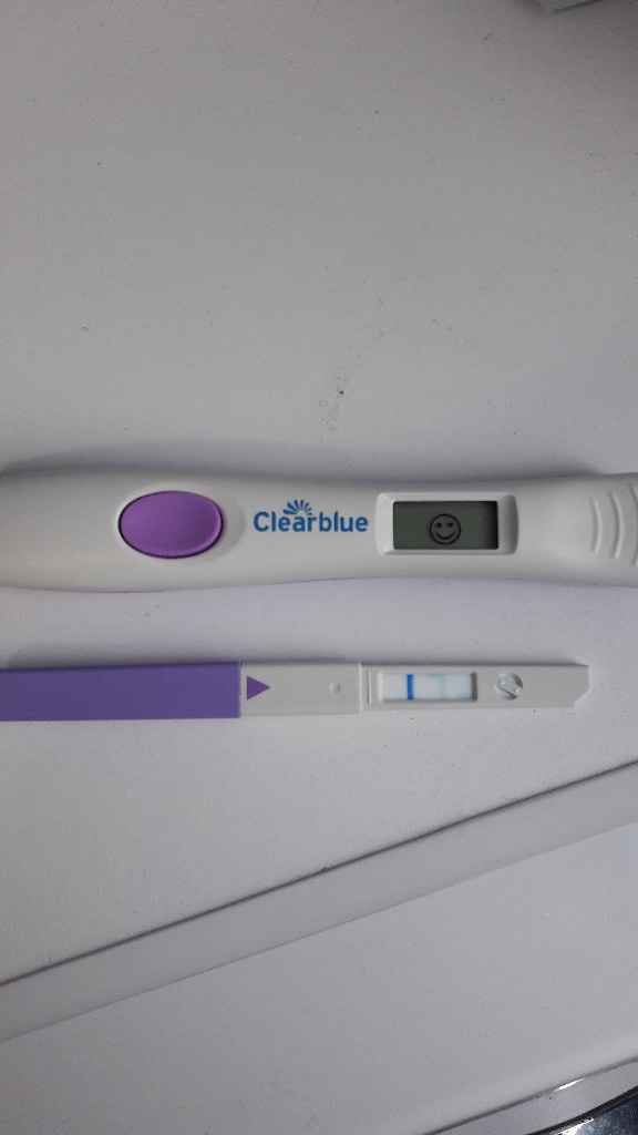 Test ovulazione clearblue come test di gravidanza precoce - 1