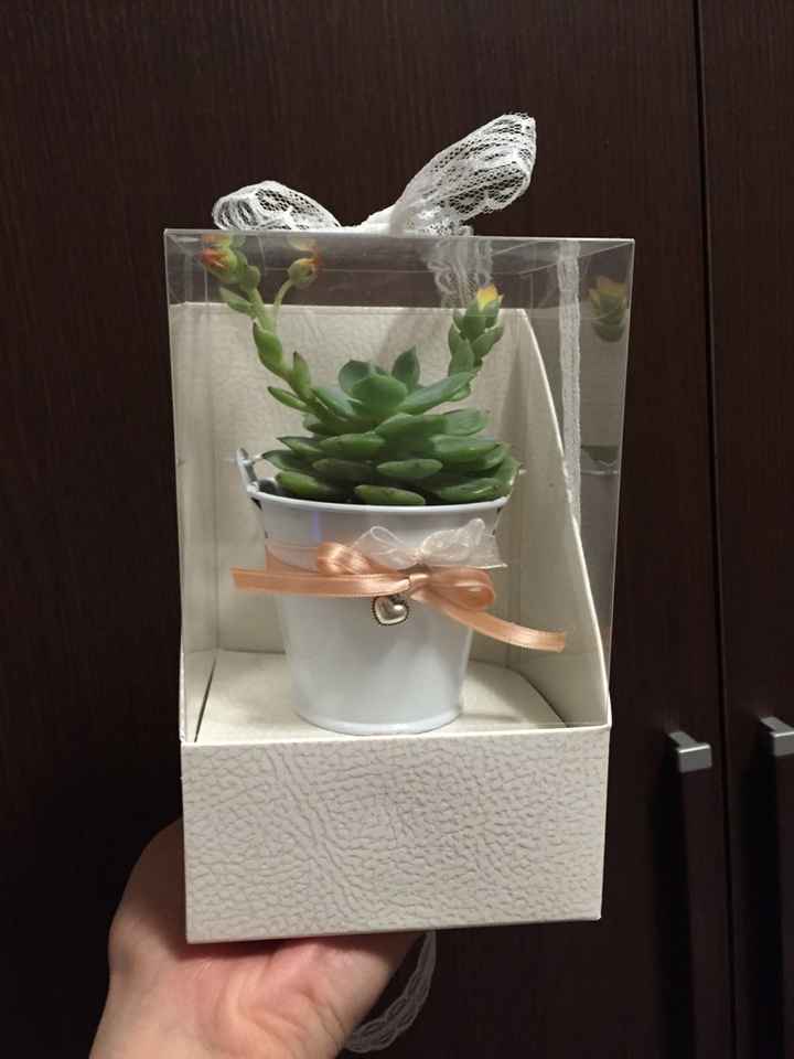 Help sacchetti per bomboniere piante grasse - 1