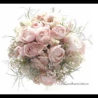 Club della sposa rosa - 2