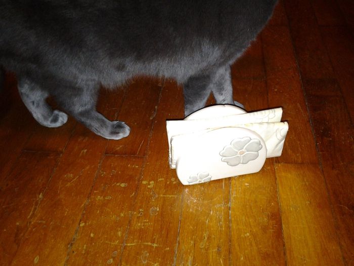 portatovaglioli thun