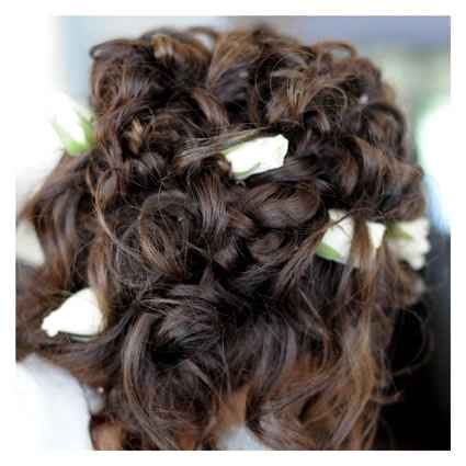 ACCONCIATURA RACCOLTI