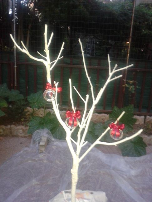 Albero del riso! - 1