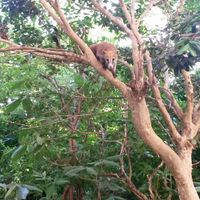  Messico fine giugno? - 3