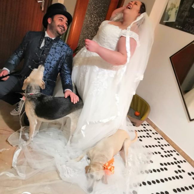 i nostri amici animali 6