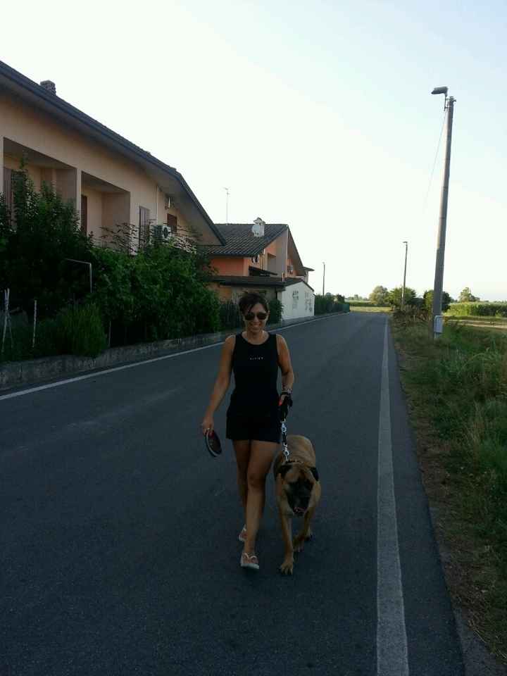 Animali domestici - 6