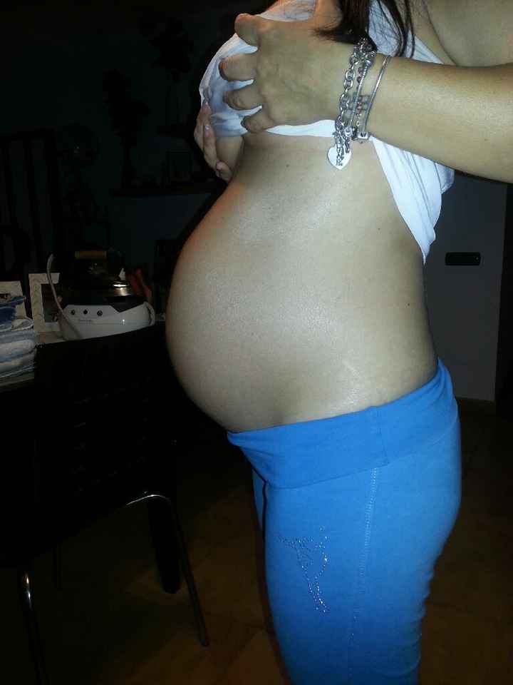 Pancino 29 settimane - 2