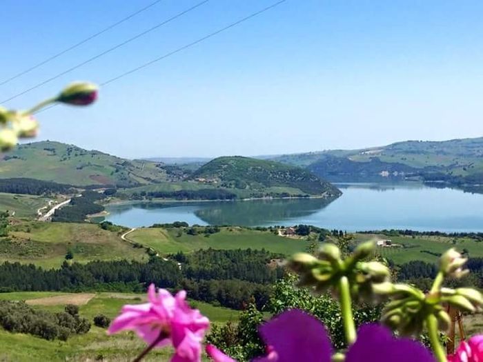 Spose di campobasso e provincia!! - 1