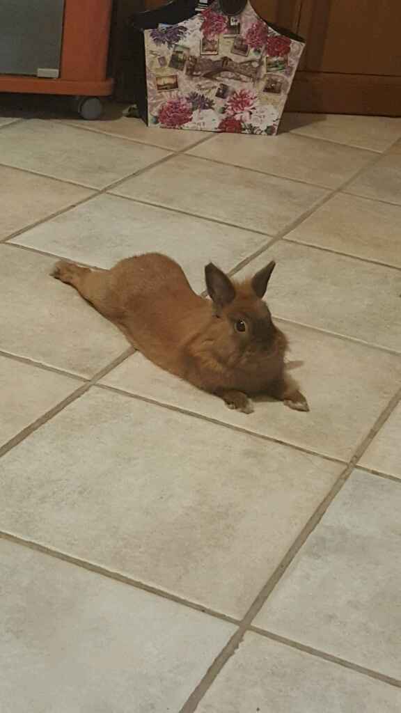 Vi presento il mio bambino *-* - 2