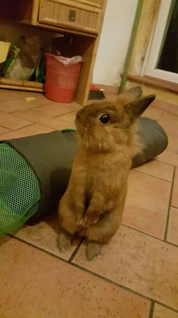 Vi presento il mio bambino *-* - 1