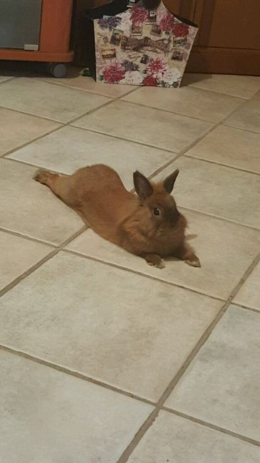 Vi presento il mio bambino *-* - 2