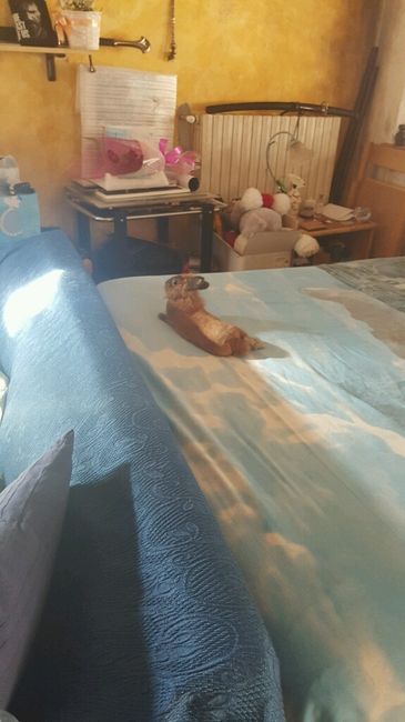 Amici pelosi *-* - 2