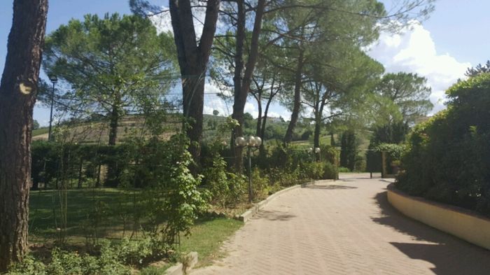 Mi fate vedere... - 5