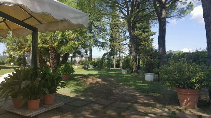 Mi fate vedere... - 7