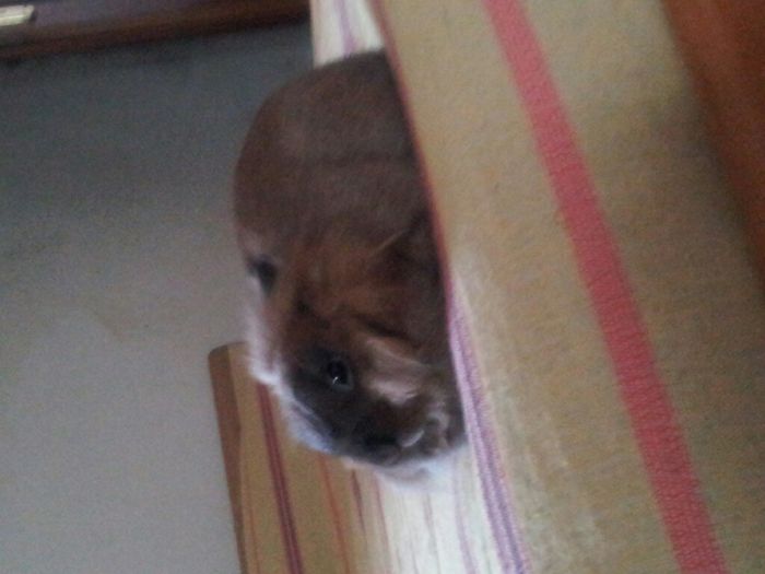 Guardate chi vi saluta!!! - 1