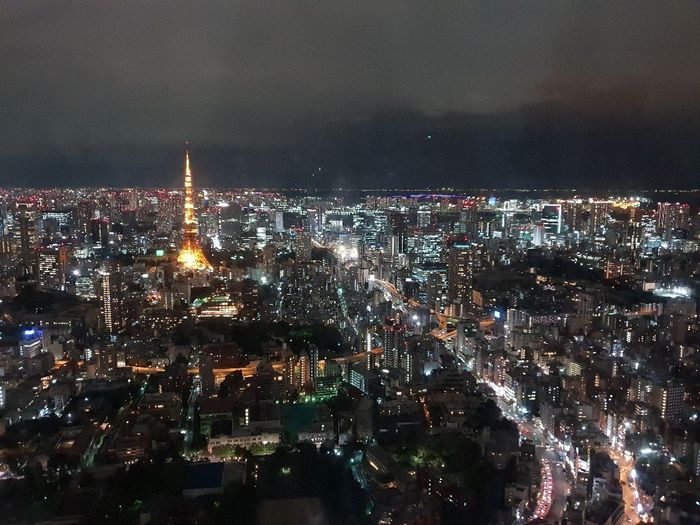 Il nostro fantastico viaggio! - 14