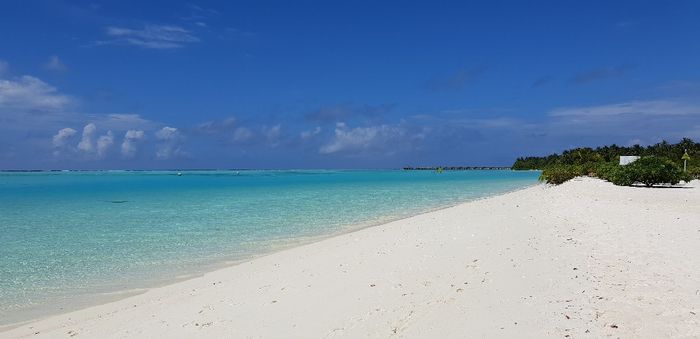 Il nostro fantastico viaggio! - 18