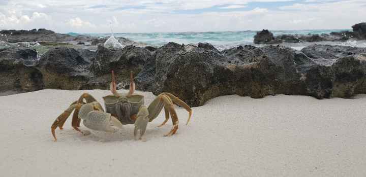 Il nostro fantastico viaggio! - 19