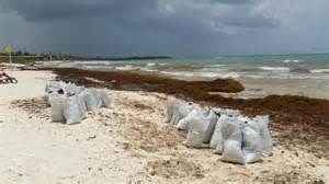 spiaggia