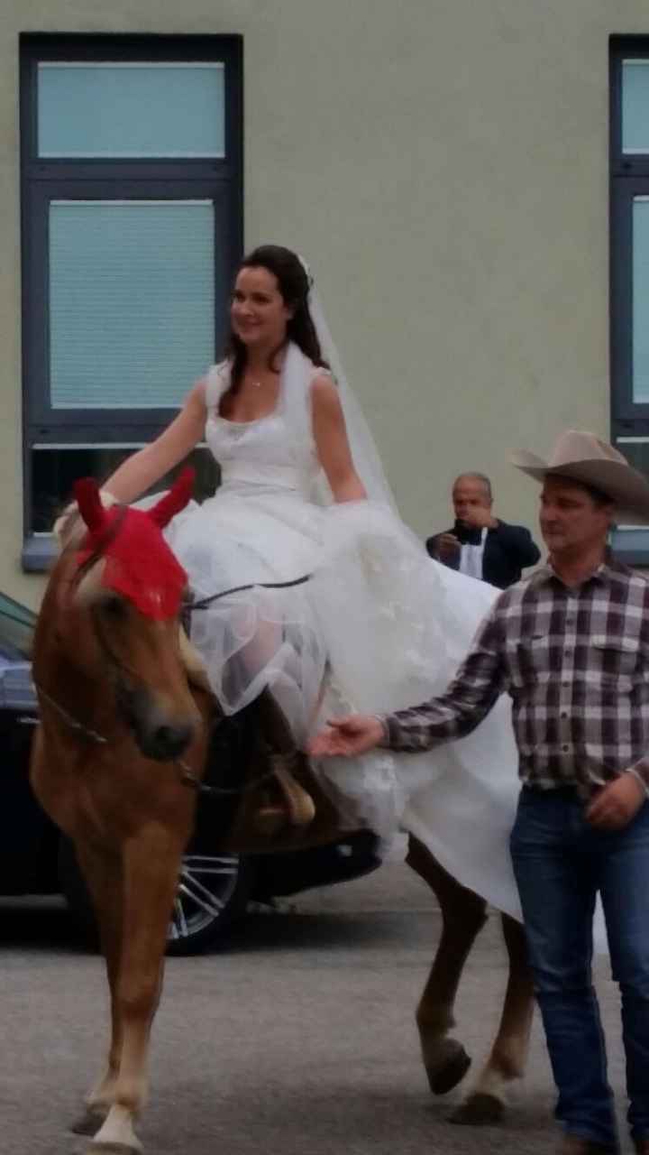 cavallo