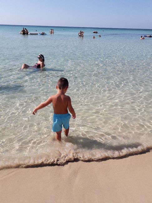 Specie in mare che si possano trovare in Puglia porto cesareo 1