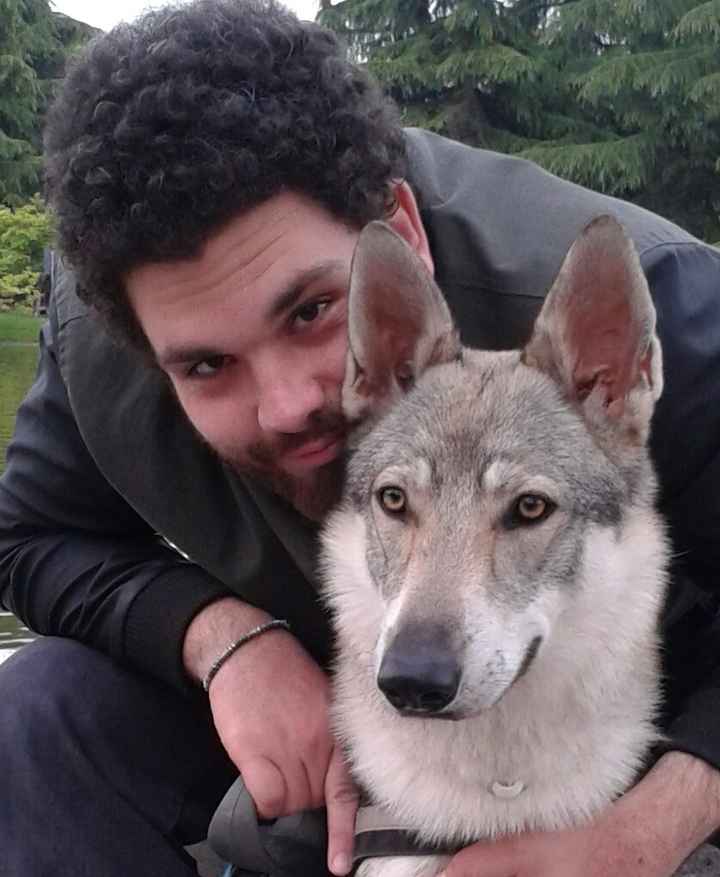 I nostri amici animali.. - 1