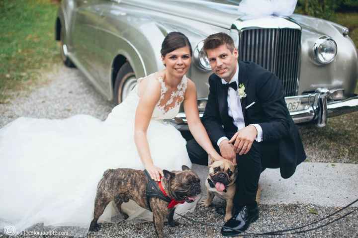 Pelosi alla riscossa! :) chi portera' il suo amico peloso al matrimonio? - 1