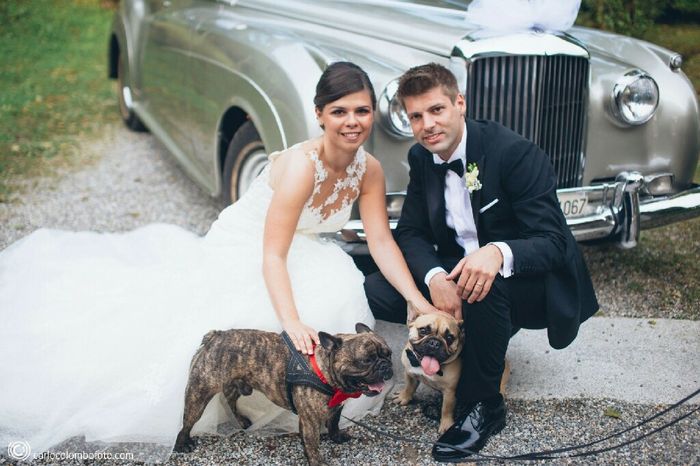 Bau al matrimonio! - 1